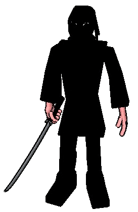 Ninja assassin, invisible magician