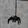 Along came a spider